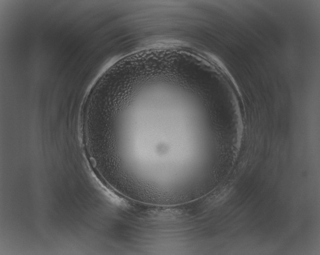 X0000053000851200507081231