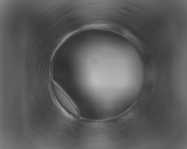 X0000053000852200507081231