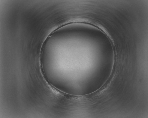 X0000053000853200507081231