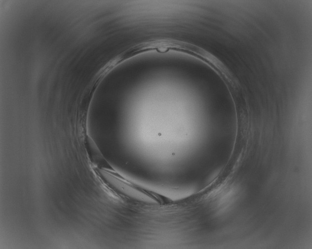 X0000053000857200507081231