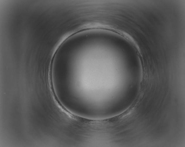 X0000053000863200507081231