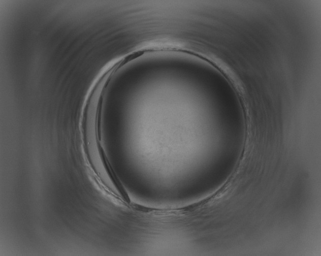 X0000053000864200507081231
