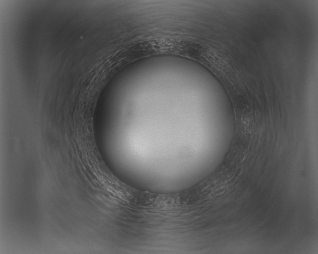 X0000053000865200507081231