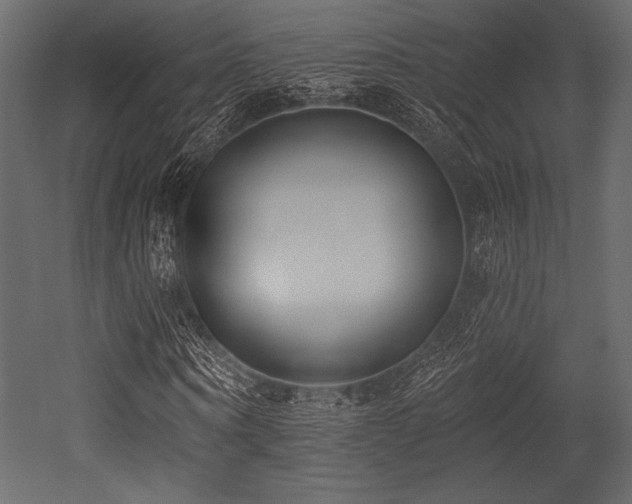 X0000053000866200507081231