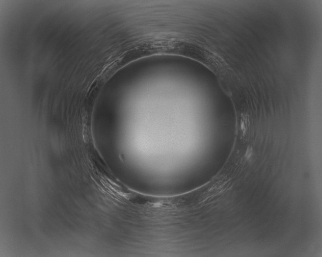 X0000053000867200507081231