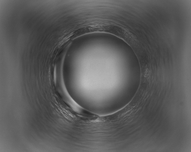 X0000053000868200507081231
