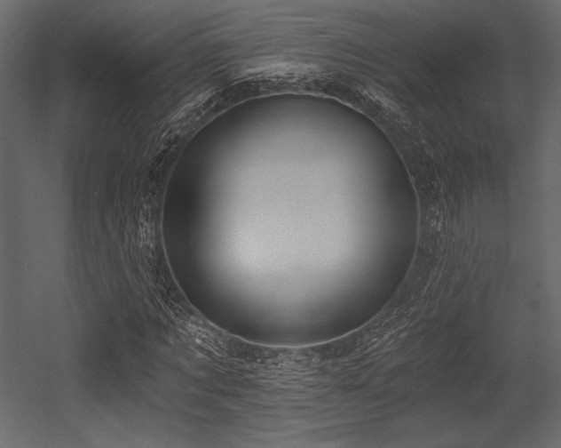 X0000053000869200507081231