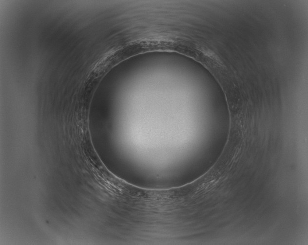 X0000053000870200507081231