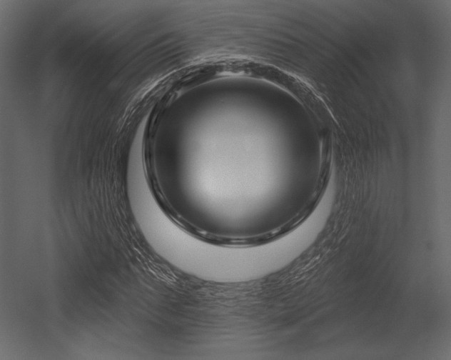 X0000053000871200507081231