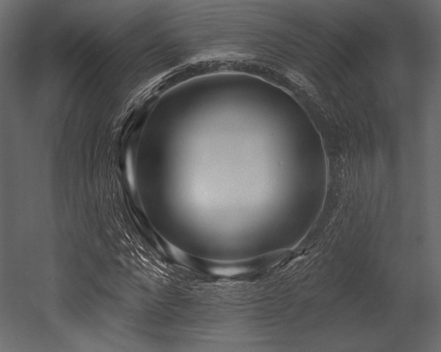 X0000053000872200507081231