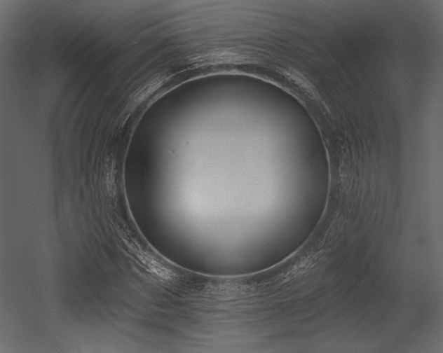 X0000053000873200507081231