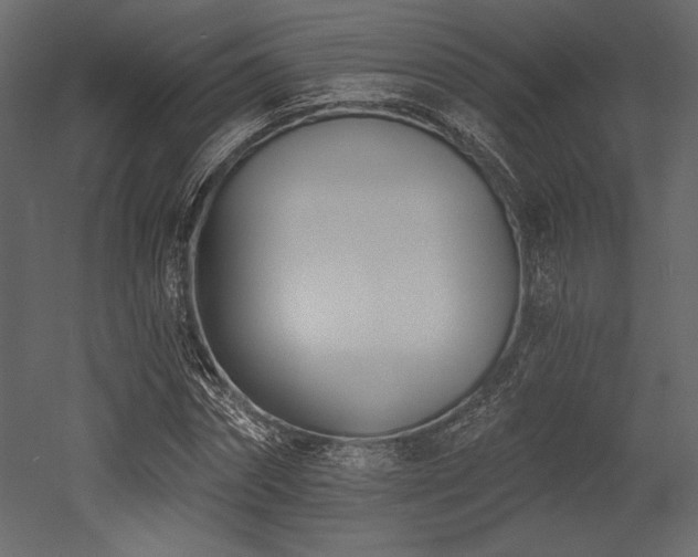 X0000053000874200507081231