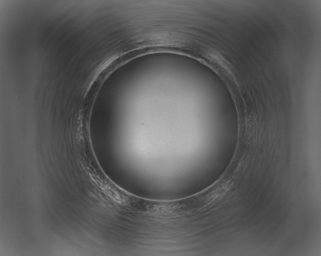 X0000053000875200507081230