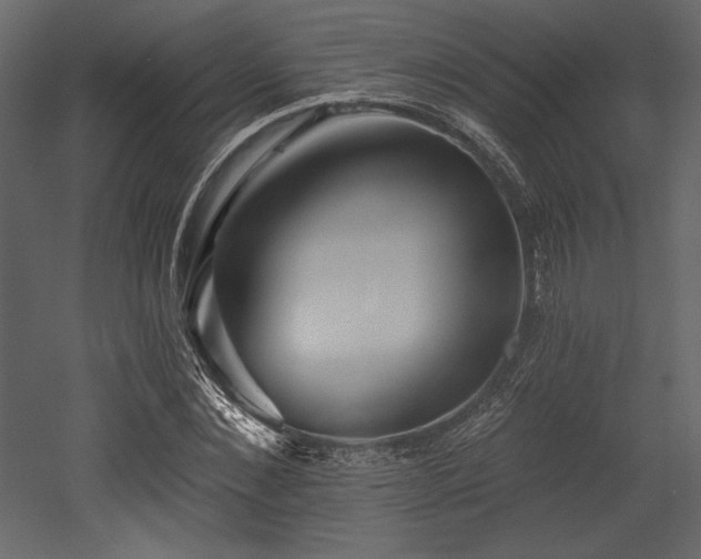X0000053000876200507081230