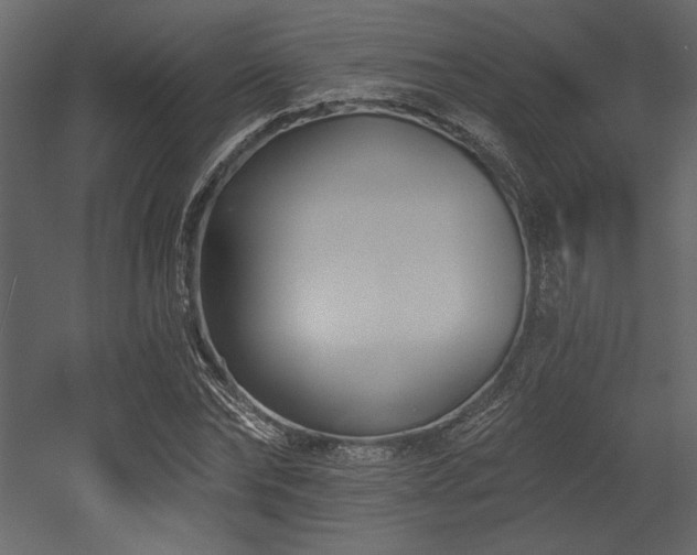 X0000053000878200507081230