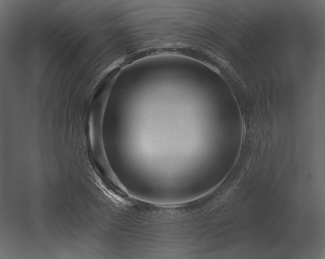 X0000053000881200507081230
