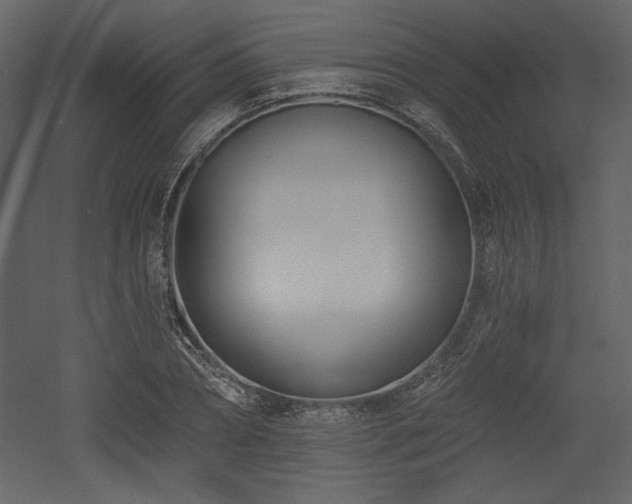 X0000053000882200507081230