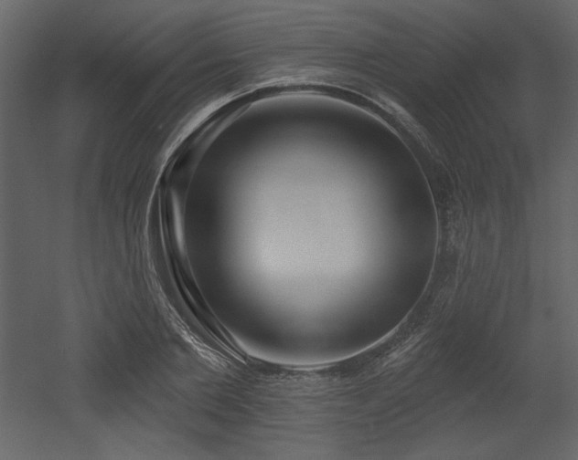 X0000053000885200507081230