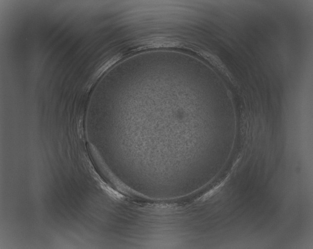 X0000053000889200507081230