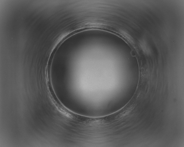 X0000053000891200507081230