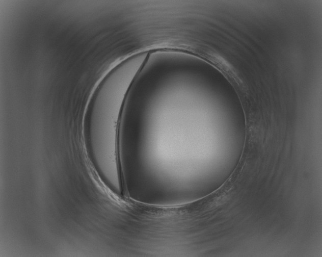 X0000053000892200507081230
