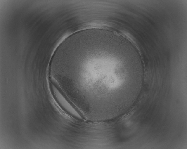 X0000053000899200507081230