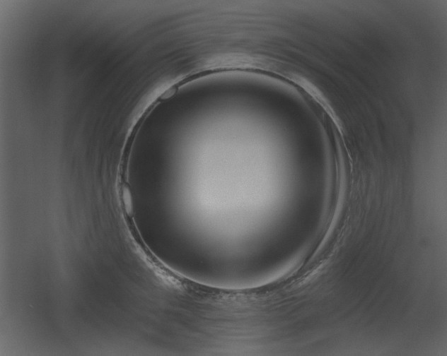 X0000053000901200507081230