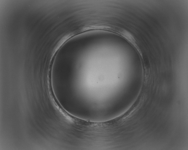 X0000053000906200507081230