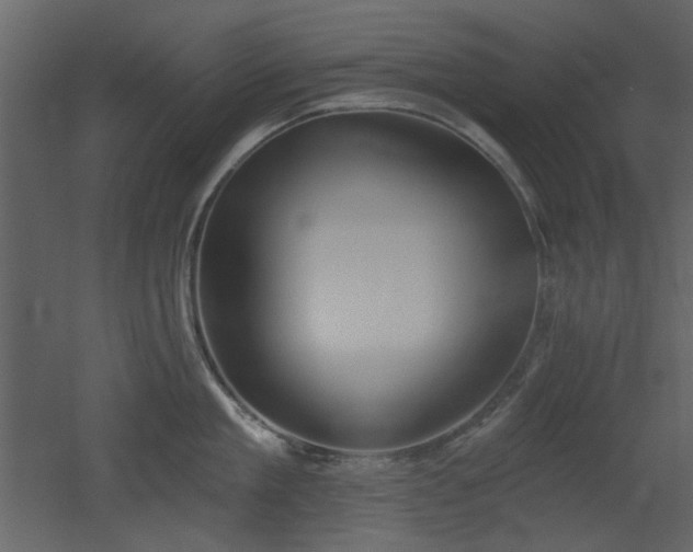 X0000053000909200507081230
