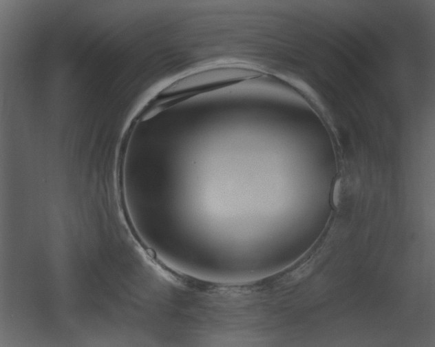 X0000053000910200507081230