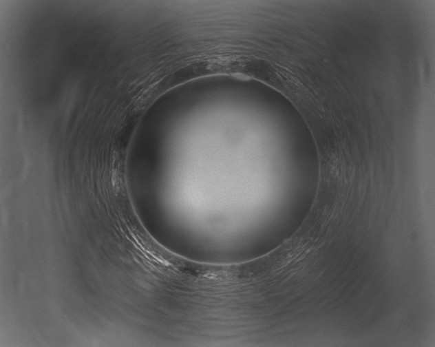 X0000053000914200507081229