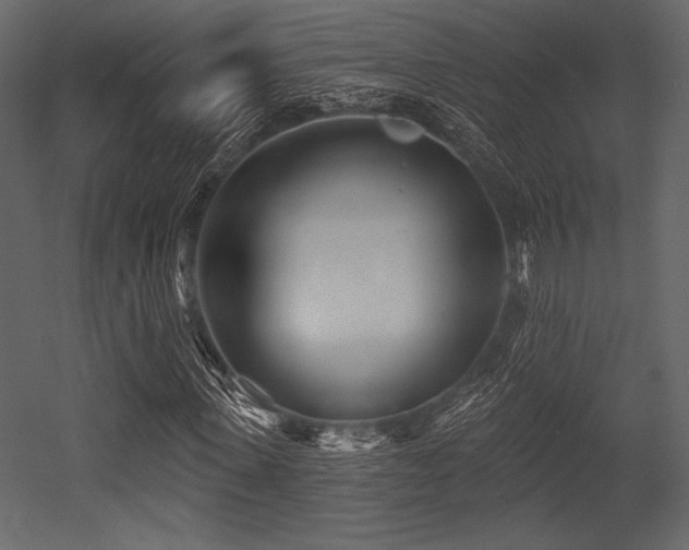 X0000053000915200507081229