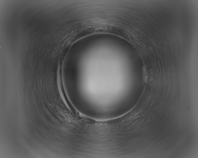 X0000053000916200507081229
