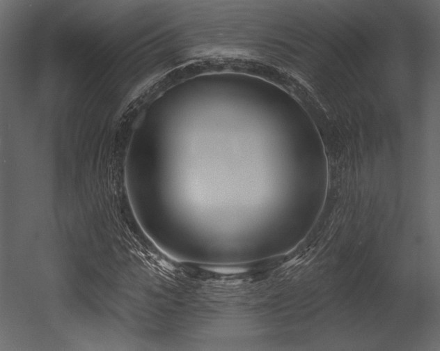 X0000053000919200507081229