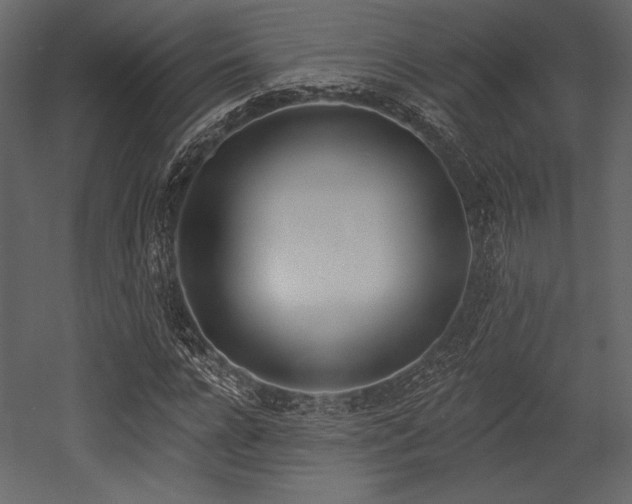 X0000053000920200507081229