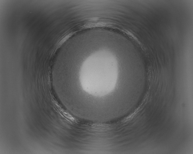 X0000053000921200507081229