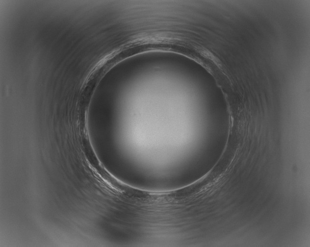X0000053000922200507081229