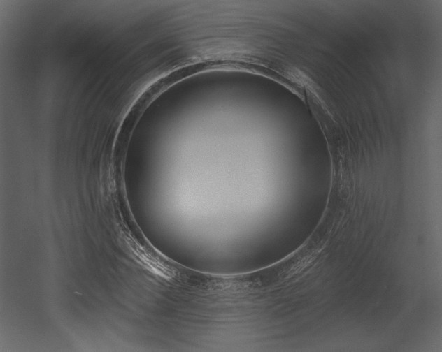 X0000053000924200507081229
