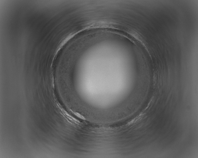 X0000053000925200507081229
