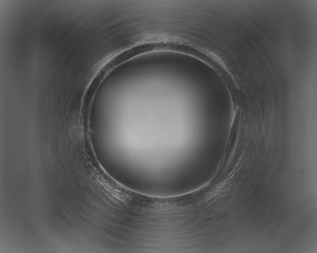 X0000053000927200507081229