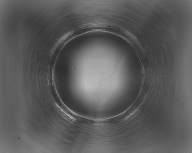X0000053000930200507081229