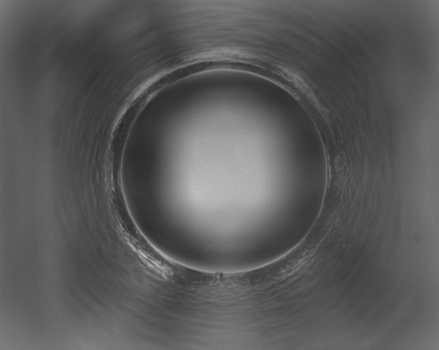 X0000053000931200507081229