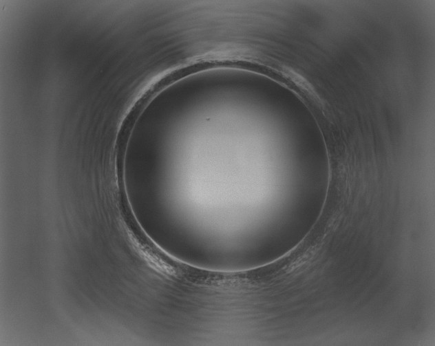 X0000053000934200507081229