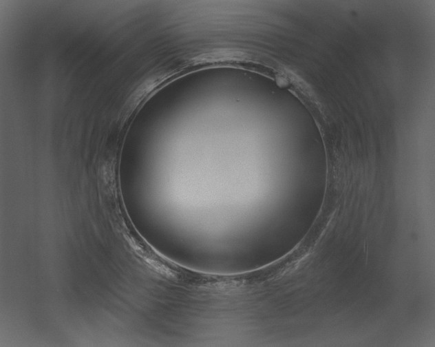 X0000053000937200507081229