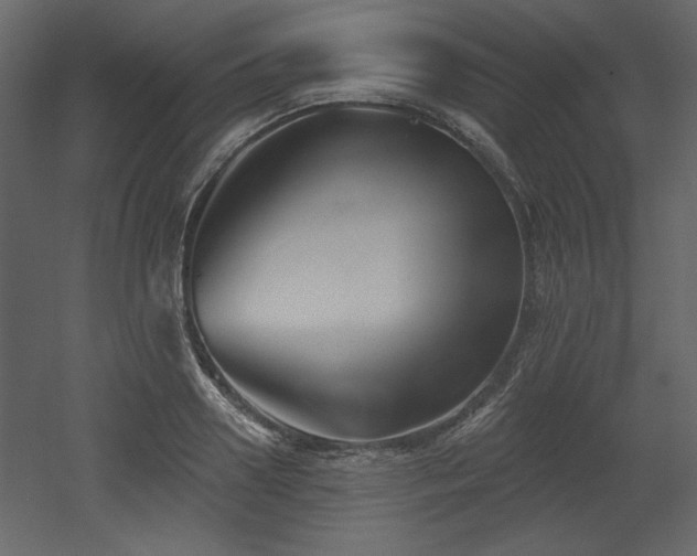 X0000053000938200507081229