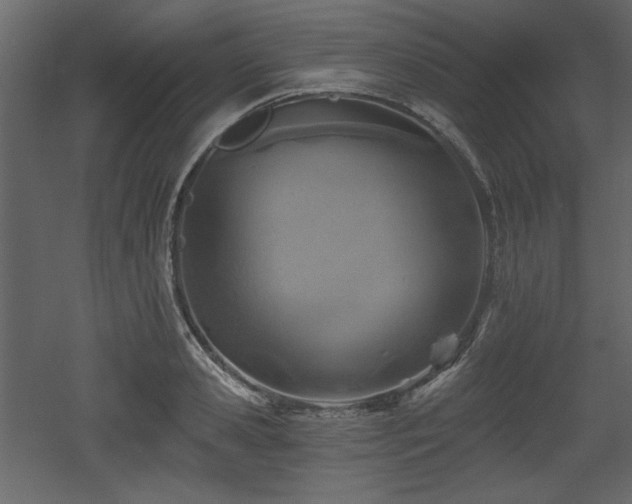 X0000053000941200507081230