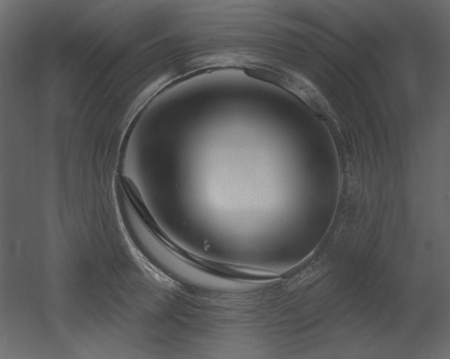 X0000053000946200507081230