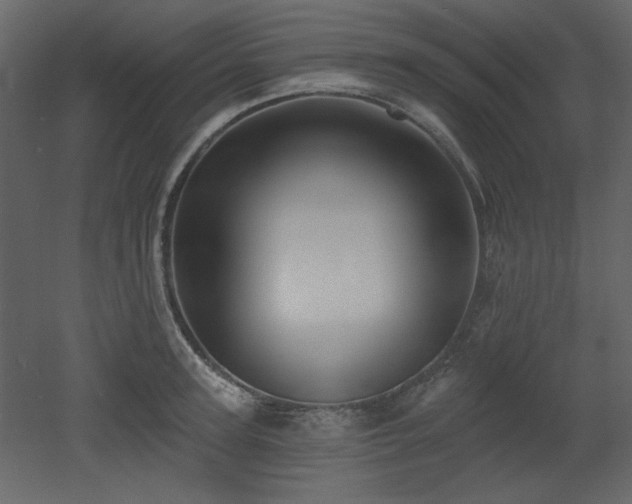 X0000053000947200507081230