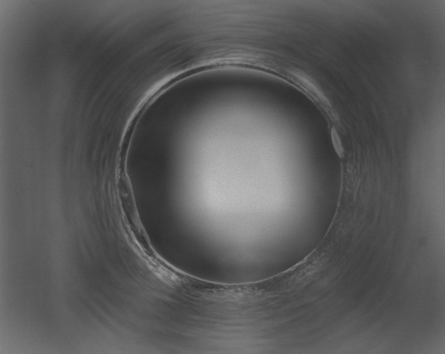 X0000053000948200507081230