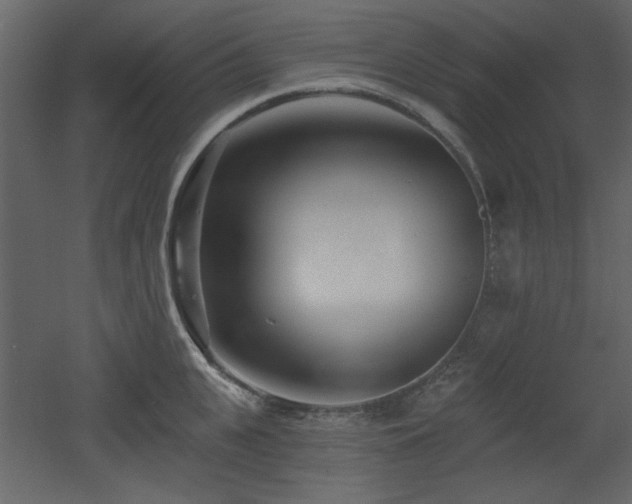 X0000053000951200507081230